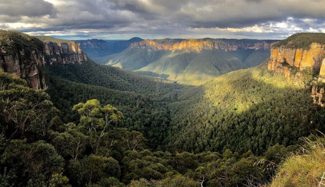 PRIVATE BLUE MOUNTAINS ECO TOUR 2