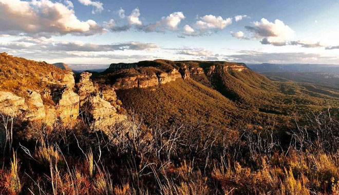PRIVATE BLUE MOUNTAINS ECO TOUR 25