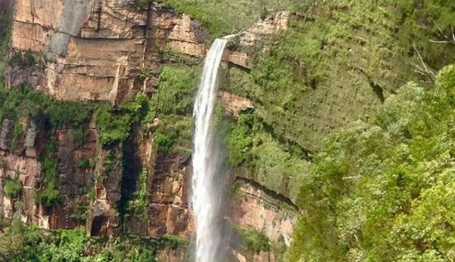 PRIVATE BLUE MOUNTAINS ECO TOUR 29