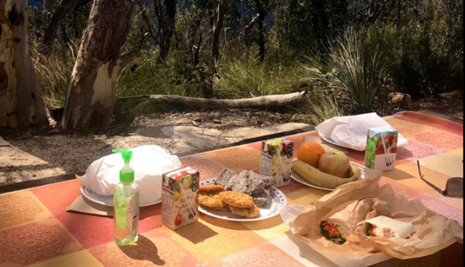 PRIVATE BLUE MOUNTAINS ECO TOUR 31