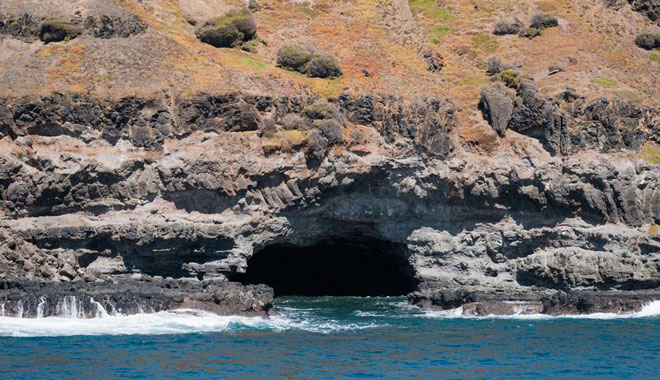 Phillip Island Seal Cruise WEB 039