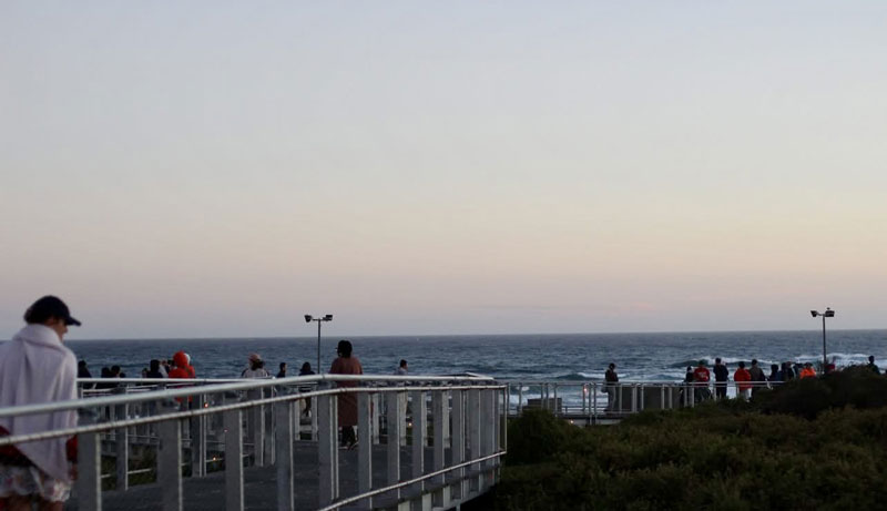 Phillip Island Sunset Direct Explore Day Tour 052