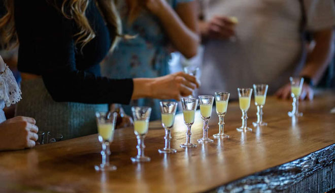 Pineapple Tours  Mount Tamborine 7