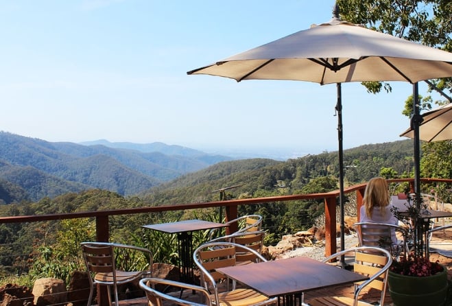 Pineapple Tours  Mount Tamborine2