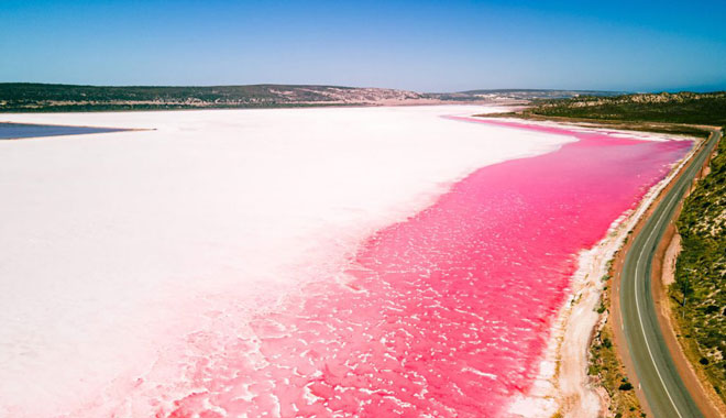 Pink Lake Hutt Lagoon Scenic Flights 10