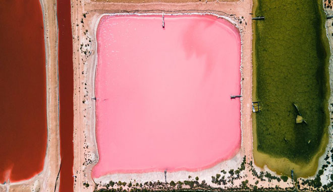 Pink Lake Hutt Lagoon Scenic Flights 4