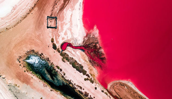 Pink Lake Hutt Lagoon Scenic Flights 6