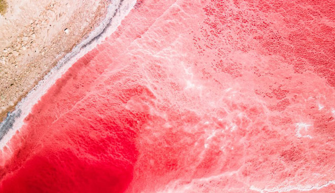 Pink Lake Hutt Lagoon Scenic Flights 9