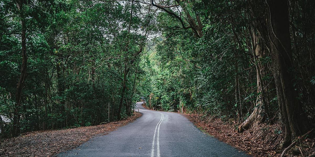 Premium Rainforest Tour (10)