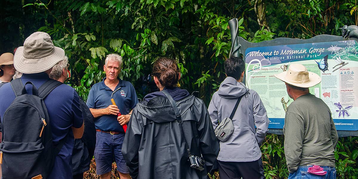 Premium Rainforest Tour (14)