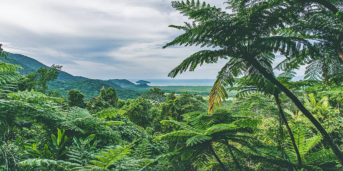 Premium Rainforest Tour (4)