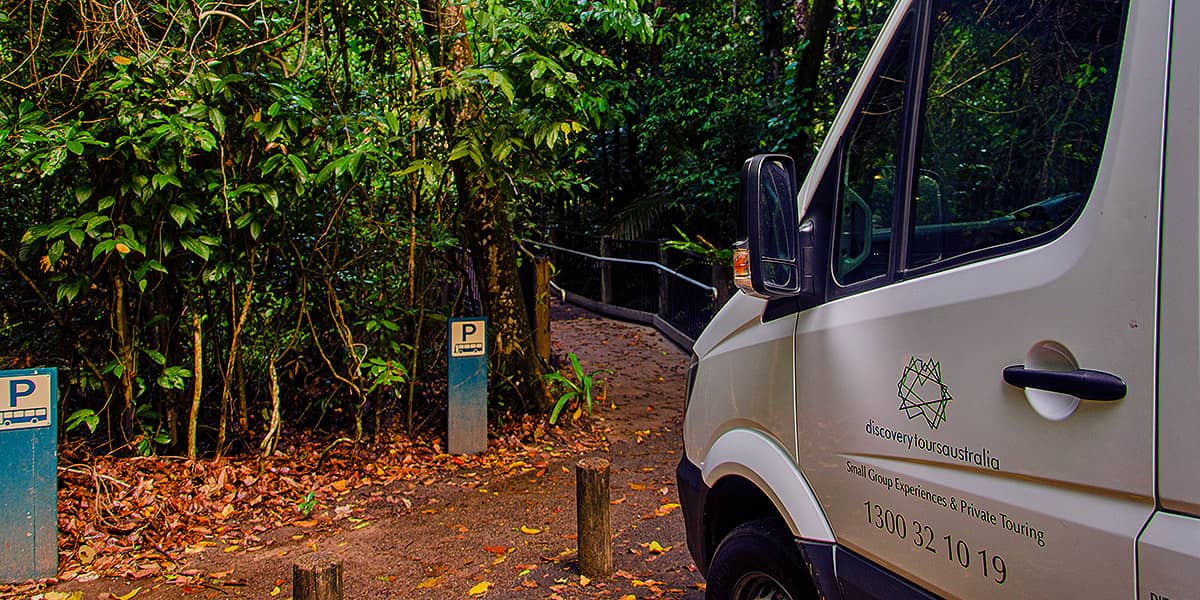 Premium Rainforest Tour (5)