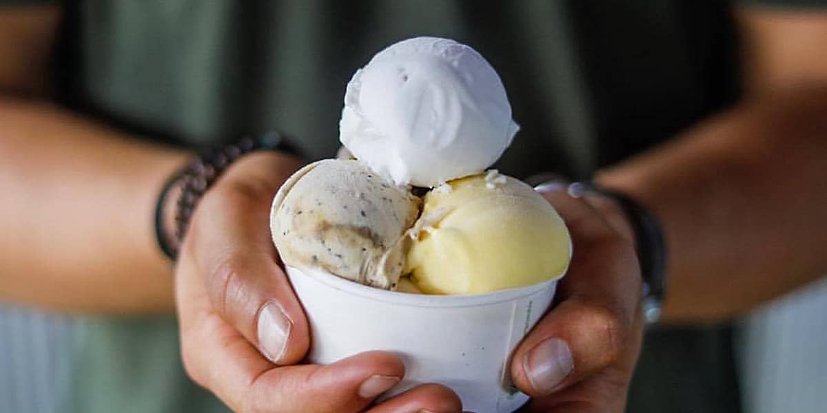 Premium Rainforest Tour (9)