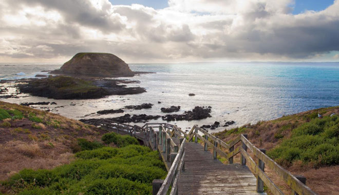 Puffing Billy And Phillip Island Penguin Parade Bus Tour 004