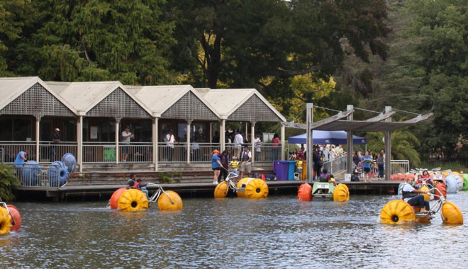 Puffing Billy And Phillip Island Penguin Parade Bus Tour 059