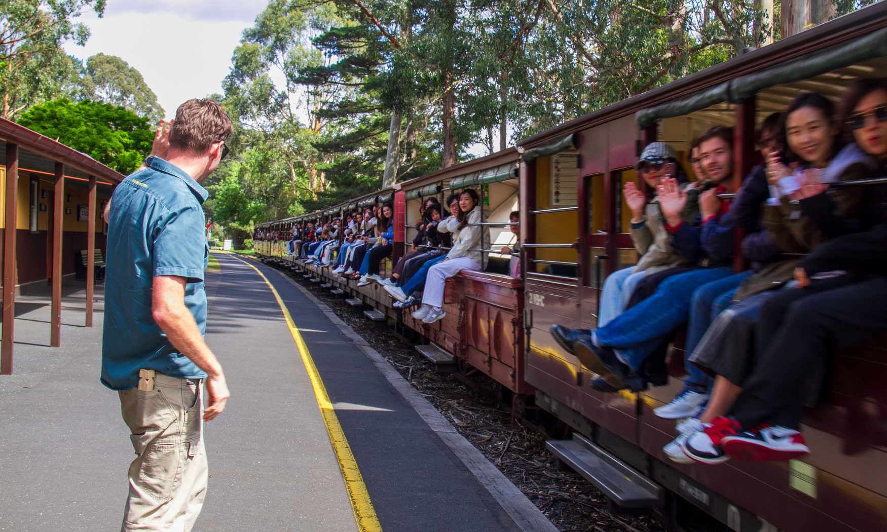 Puffing Billy, Forest Trails & Yarra Valley Discovery Tour (11)
