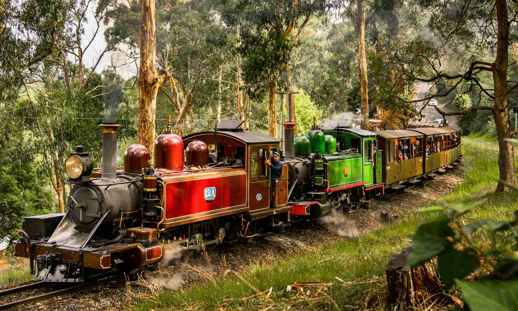 Puffing Billy, Forest Trails & Yarra Valley Discovery Tour (13)