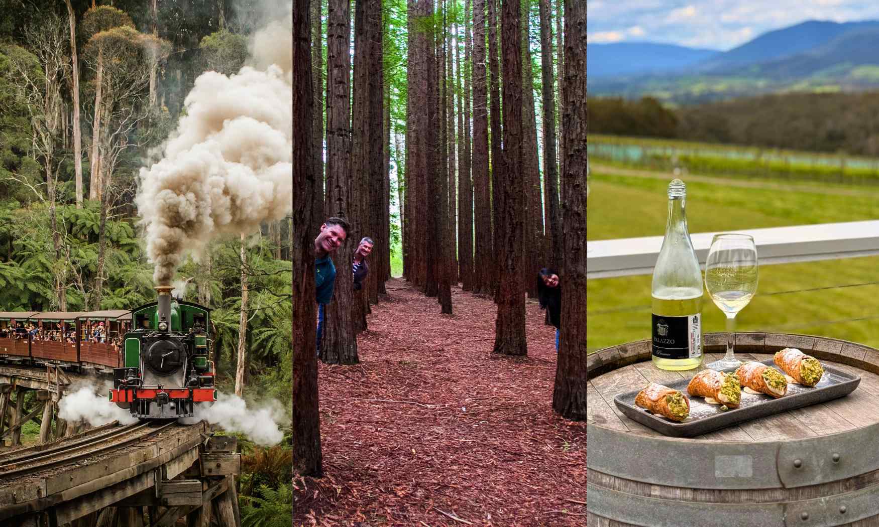 Puffing Billy, Forest Trails & Yarra Valley Discovery Tour (16)