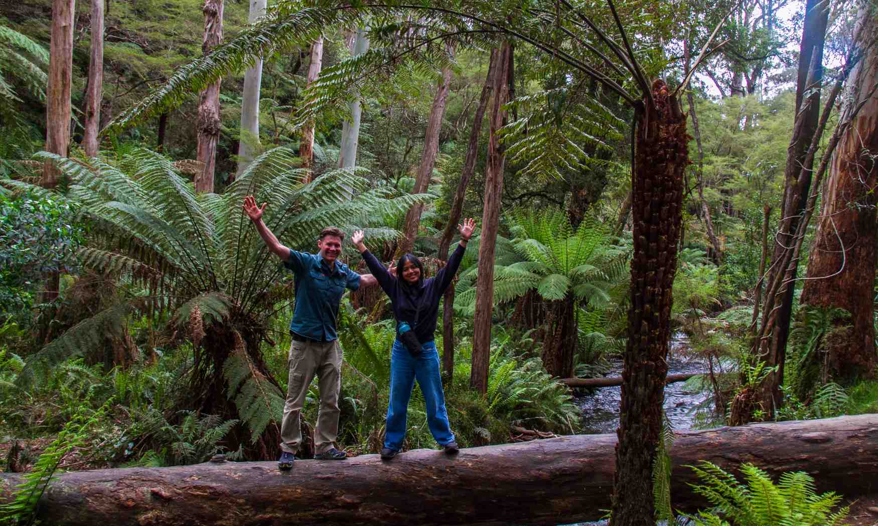 Puffing Billy, Forest Trails & Yarra Valley Discovery Tour (3)