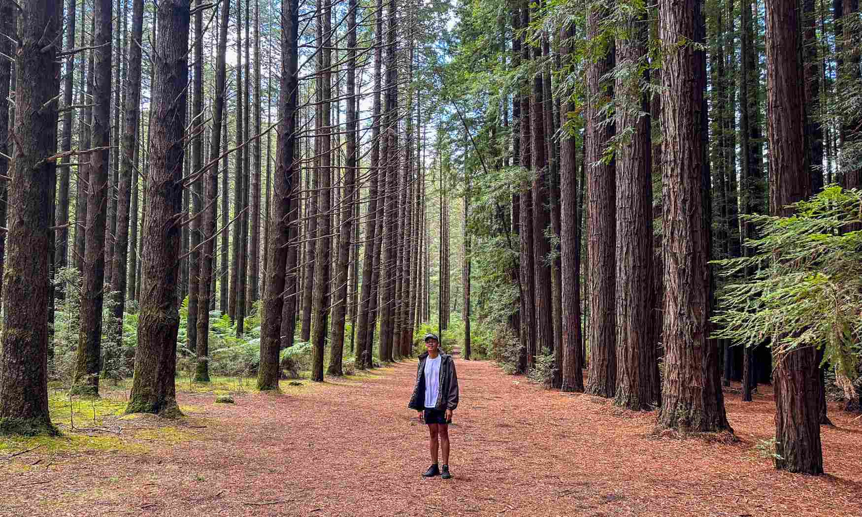 Puffing Billy, Forest Trails & Yarra Valley Discovery Tour (6)