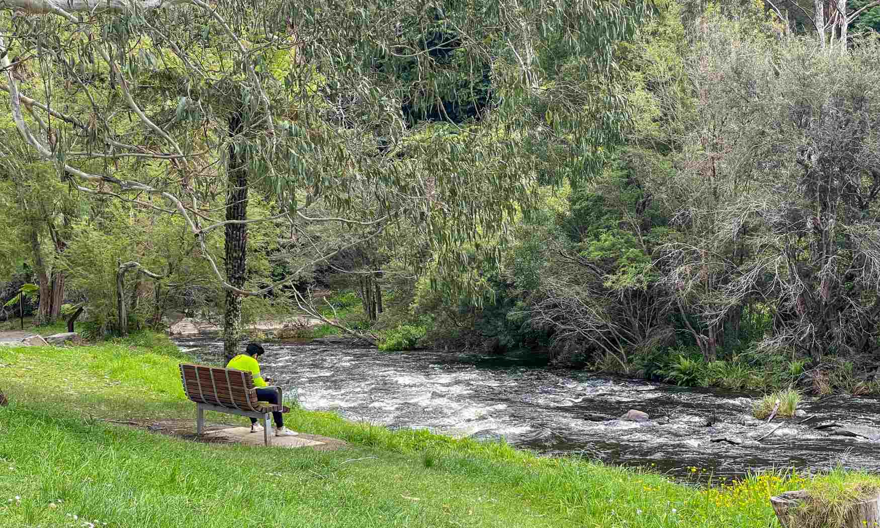 Puffing Billy, Forest Trails & Yarra Valley Discovery Tour (8)