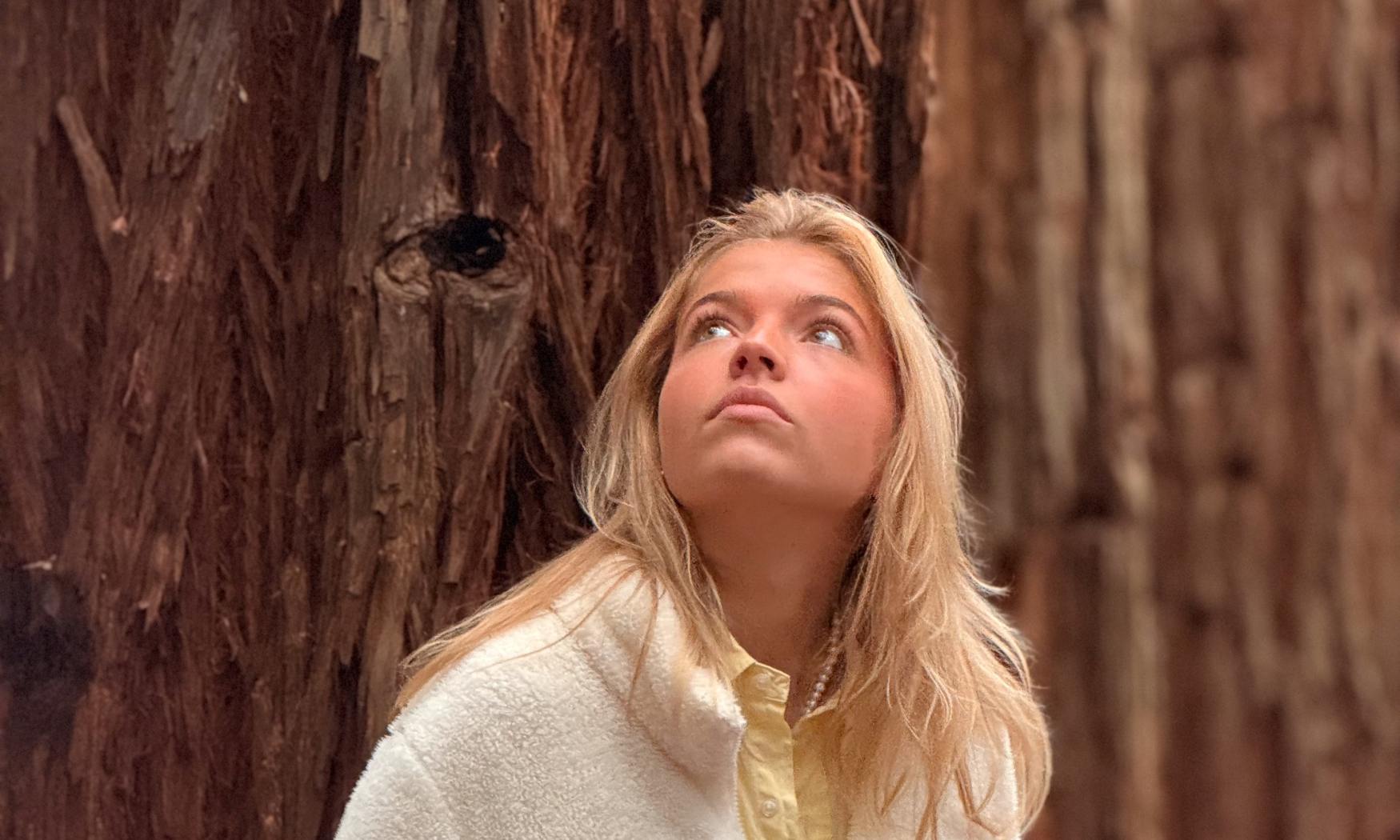 Puffing Billy, Forest Trails & Yarra Valley Discovery Tour (9)