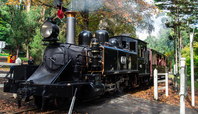 Puffing Billy at crossing