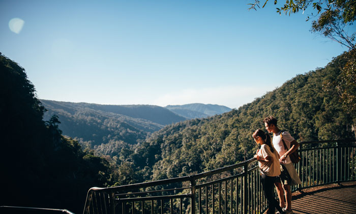 Purling Brook Falls Lookout