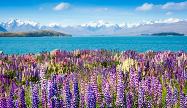 Queenstown to Mount Cook 02