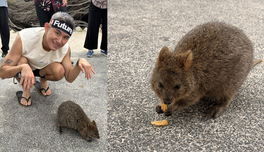 ROTTNEST ISLAND KEN 4001
