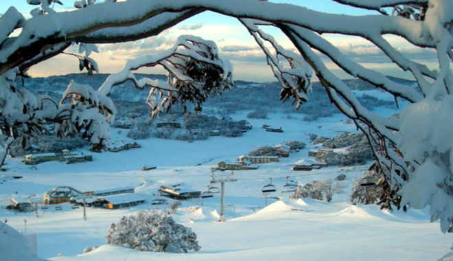 RVG Truffle Farm & Snowy 002