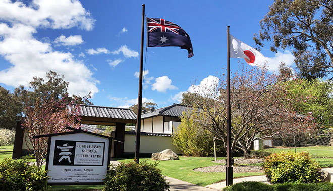 Rapeseed Flowers AND Cowra 0010
