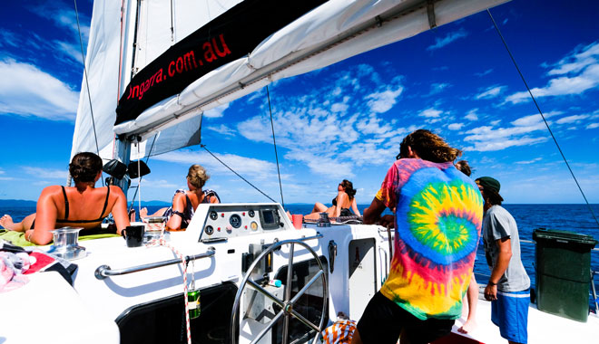 Red Cat Thundercat10