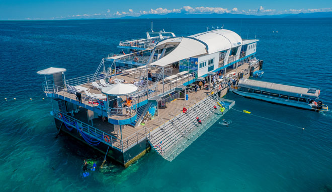Reef Magic10