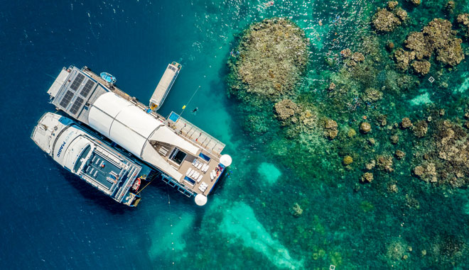Reef Magic9