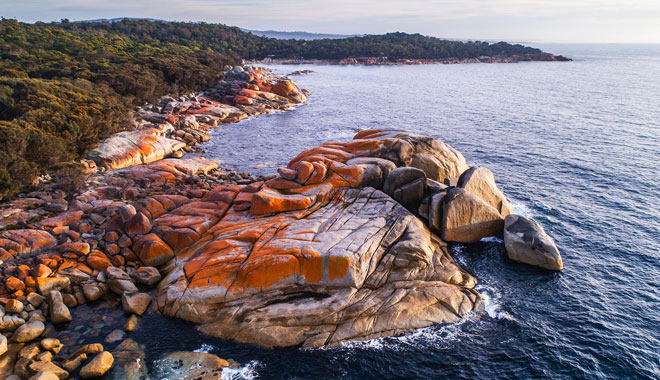 Roaming Tasmania 5