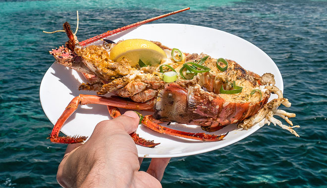Rottnest Island Luxe Seafood Cruise7