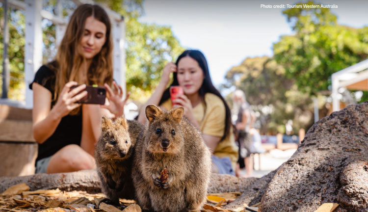 Rottnest Island Tourism Western Australia 013