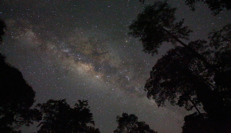 Beautiful Milky way in Danum Valley, Borneo, Malaysia