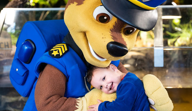 SEA LIFE Melbourne Aquarium 2