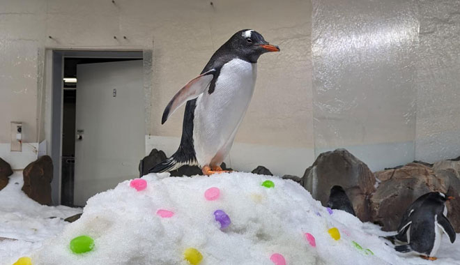 SEA LIFE Melbourne Aquarium 4