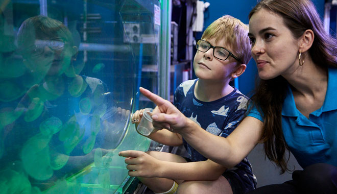 SEA LIFE Melbourne Aquarium 5