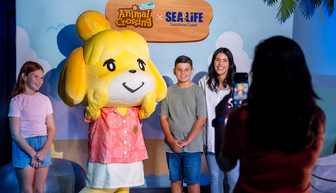 SEA LIFE Sunshine Coast+ Animal Crossing WED 001