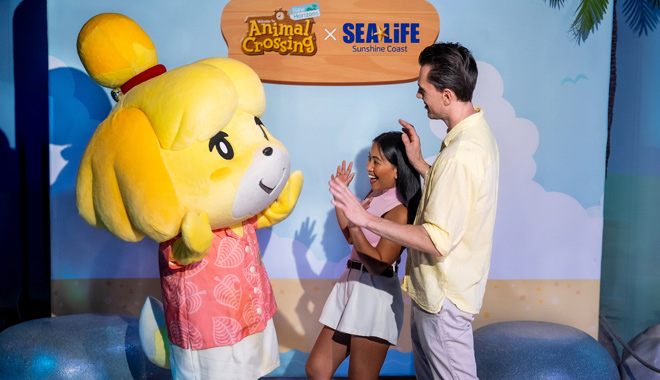 SEA LIFE Sunshine Coast+ Animal Crossing WED 009