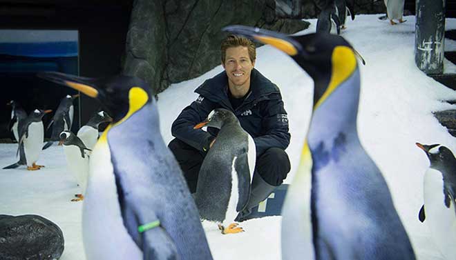 SEA LIFE Sydney Aquarium 9