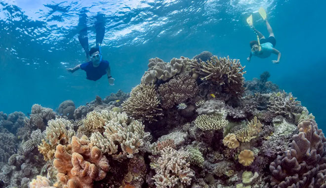 SUNLOVER SNORKELLING 2