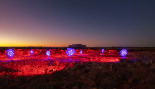 SUNRISE JOURNEYS WEB 22