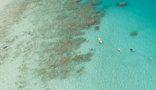 Sail & Snorkel   Whitehaven & Chalkies Beach 002