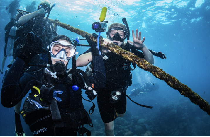 Screenshot 2025 05 31 at 15.50.46