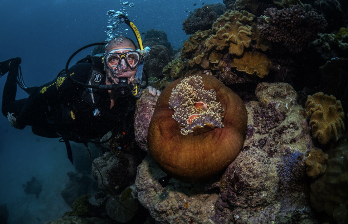 Screenshot 2025 05 31 at 15.51.00